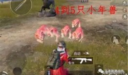 捕捉神奇艾比最新爆料,揭秘神秘力量与奇幻冒险之旅