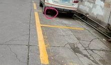 惠州停车场爆料事件最新